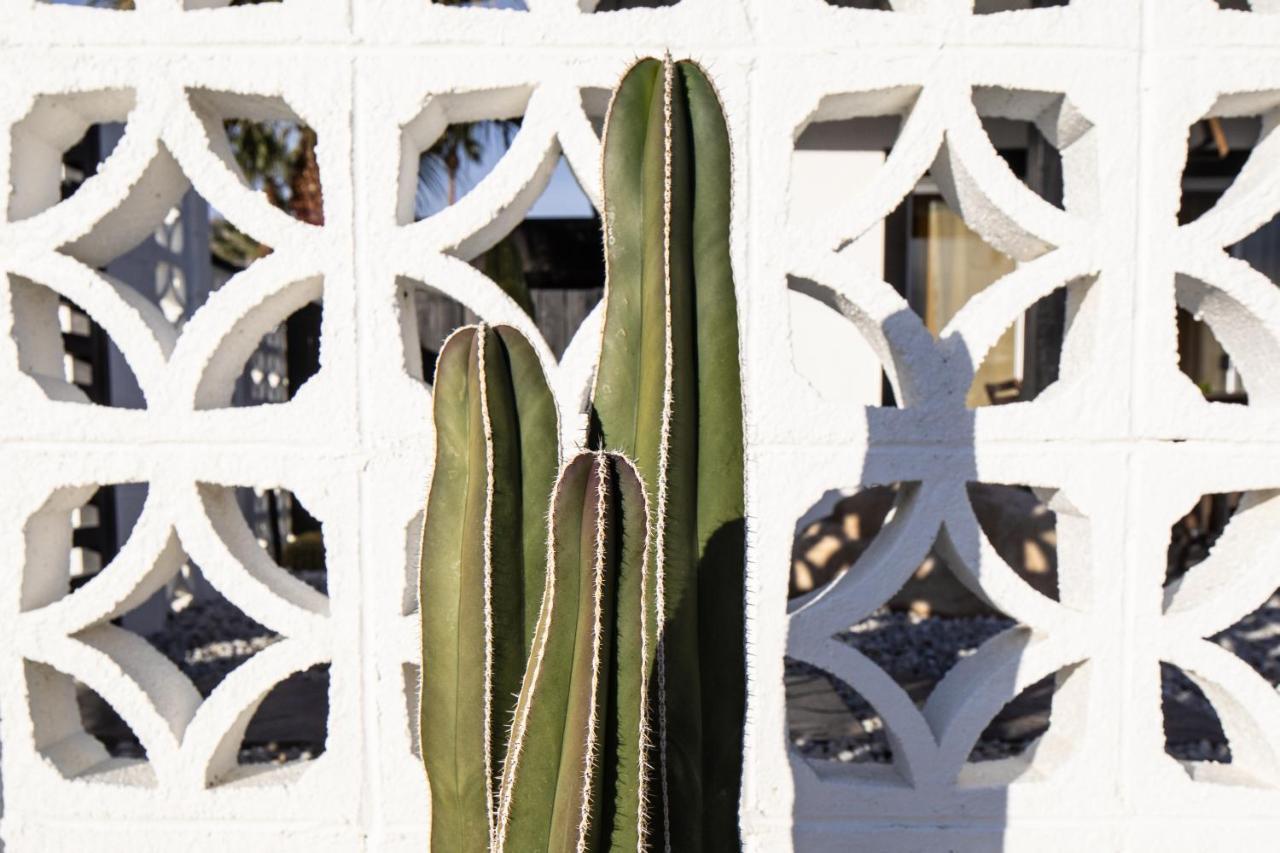 Mid-Century Modern Home In Beautiful La Quinta Buitenkant foto